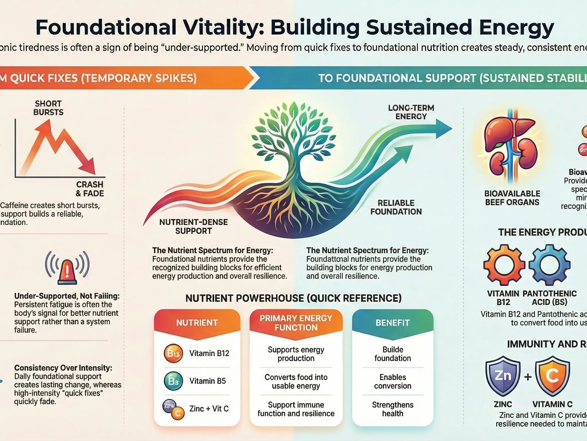 Blog Image about Why Your Body Isn’t Low Energy—It’s Under-Supported