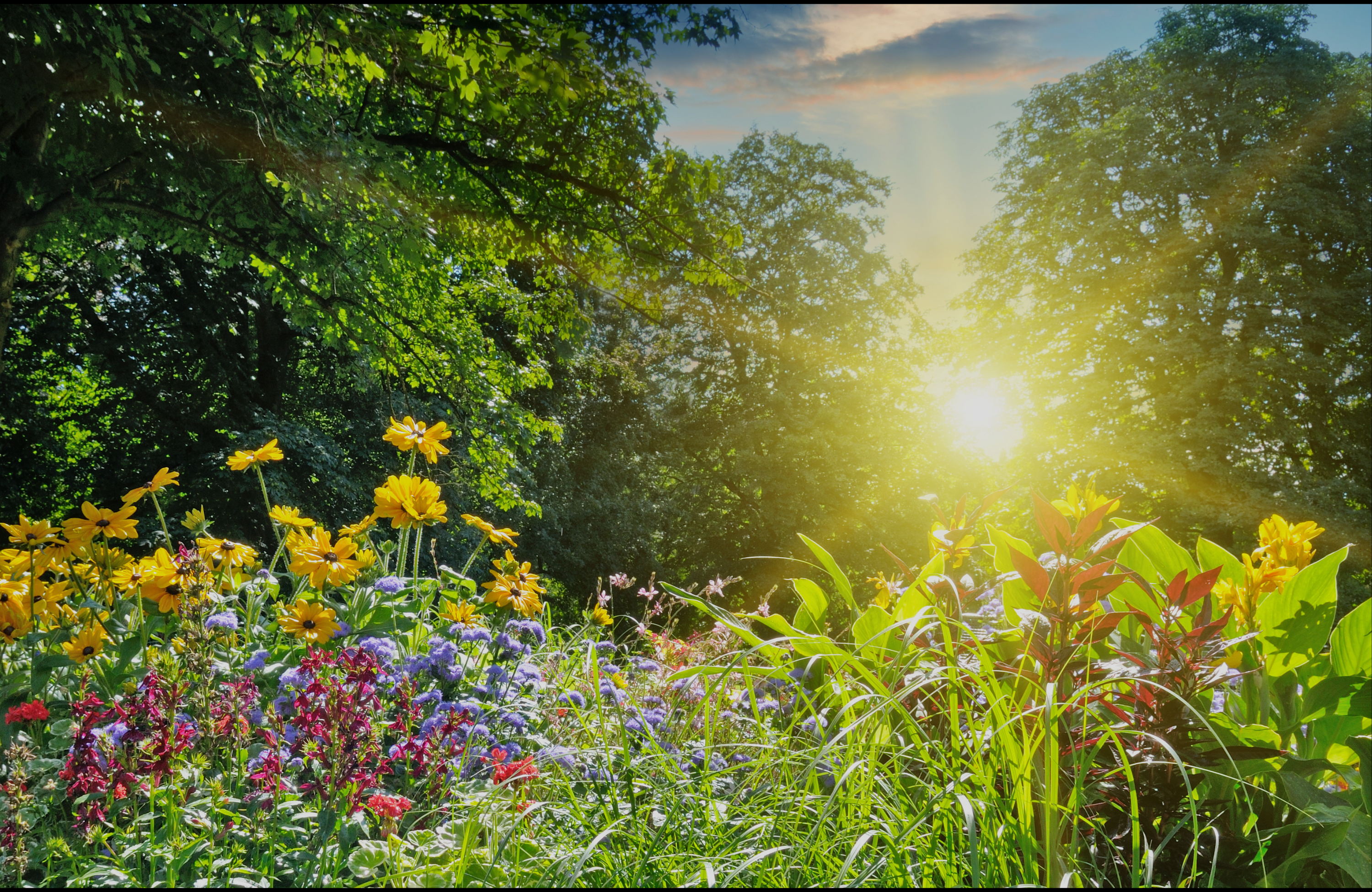 Hot Weather, Hot Mess? How to Beat Bloat, Burnout & Summer Slumps