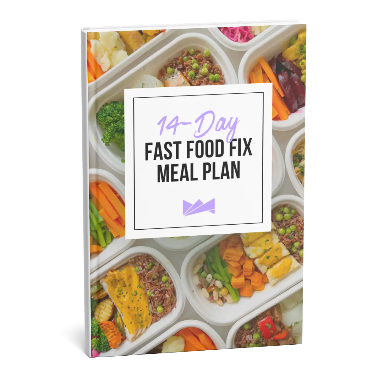 THE LADYBOSS DIGITAL VAULT