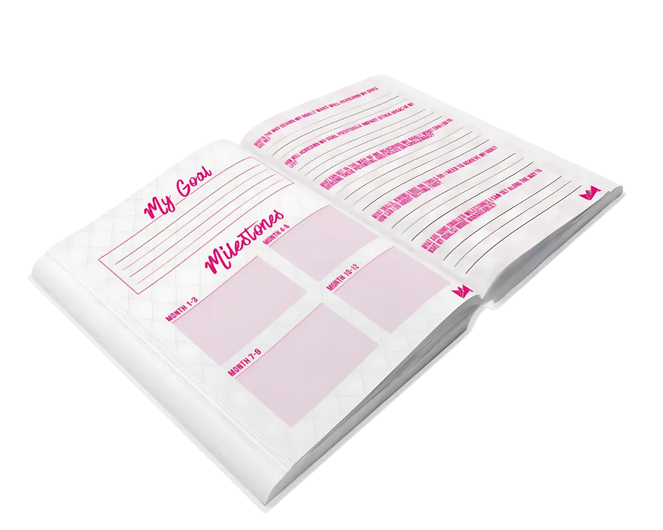 Goal Getter Goal Setting Journal for Women | LadyBoss®